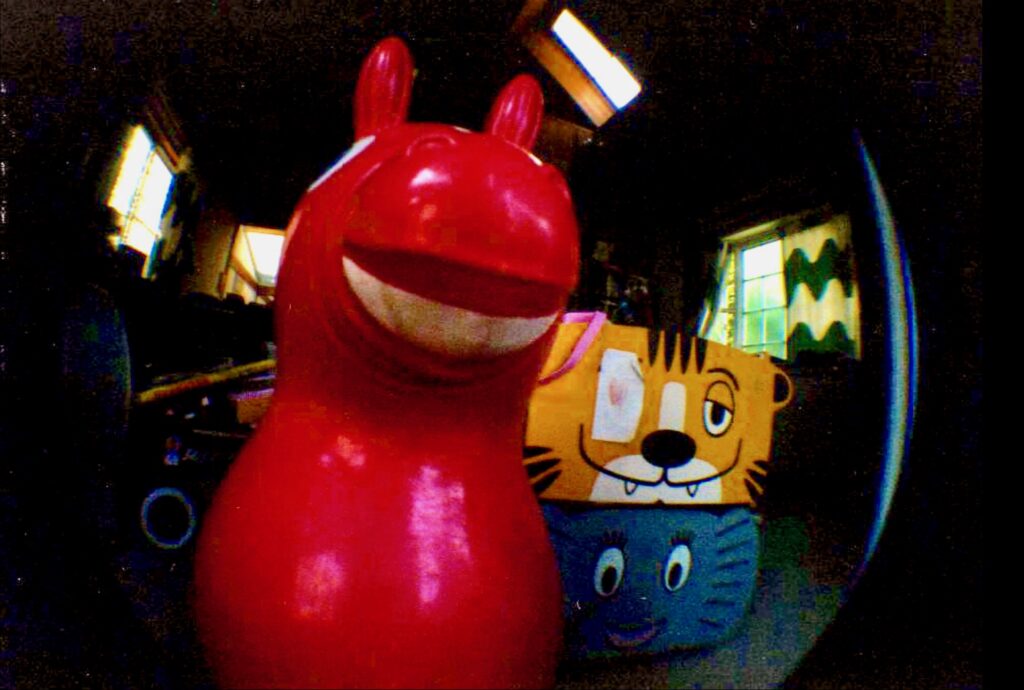 ロドニーのトイトランク。フェリシモ3回限定コレクション。