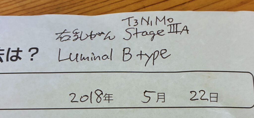 右乳がん　T3N1M0　Stage ⅢA　Luminal B type