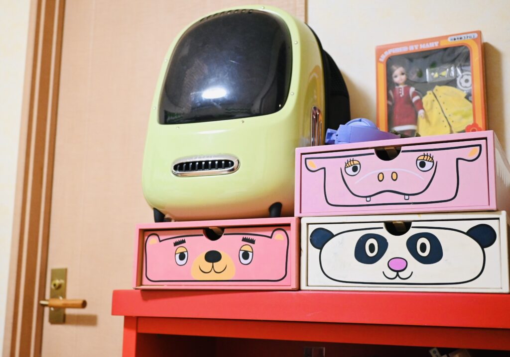 私の部屋にある、ロドニーの引き出し。フェリシモで毎月1つずつ届いた。