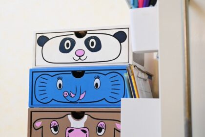 冷蔵庫の横にある、ロドニーの引き出し。フェリシモで毎月1つずつ届いた。