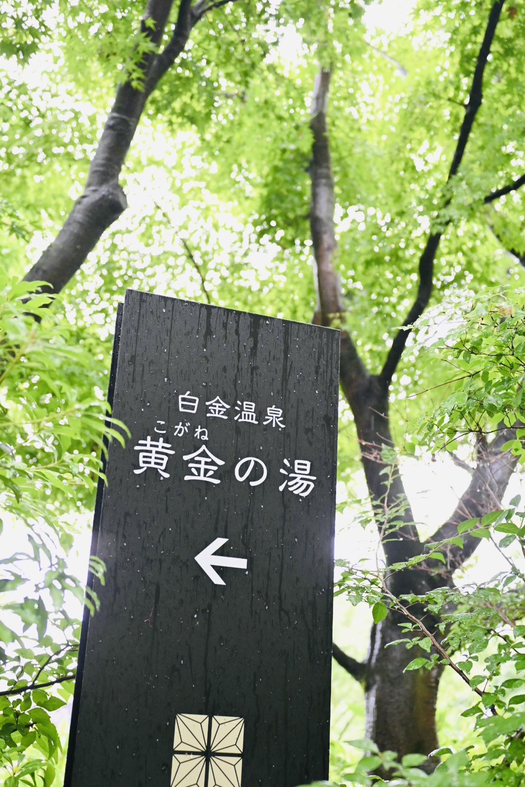 菊池市、白金温泉 黄金の湯 入り口