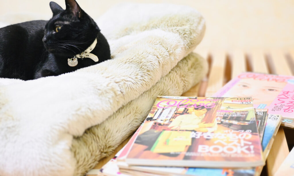 黒猫ピノと1990年代の雑誌Olive