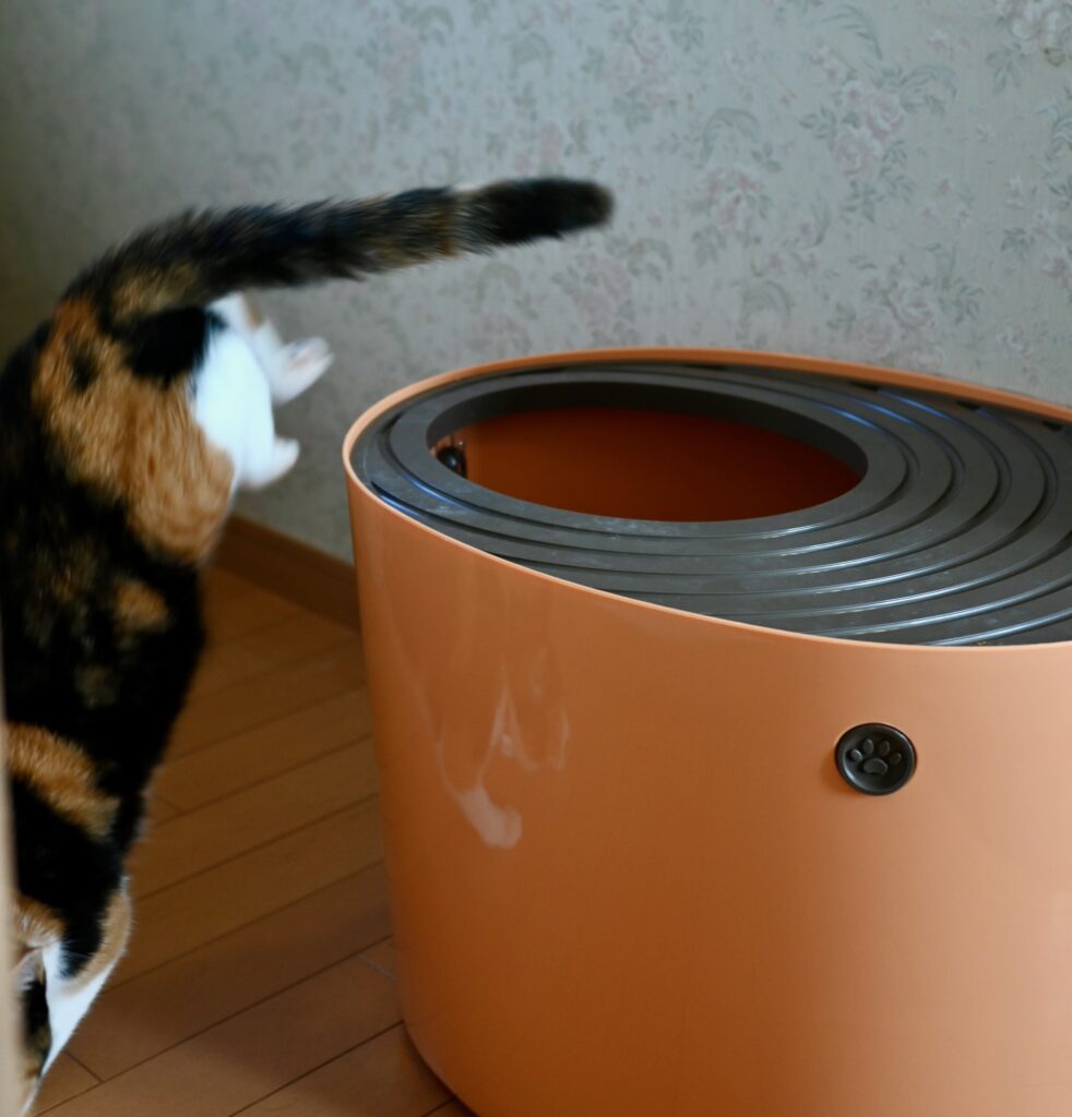 アイリスオーヤマの上から猫トイレから出てくる小梅。