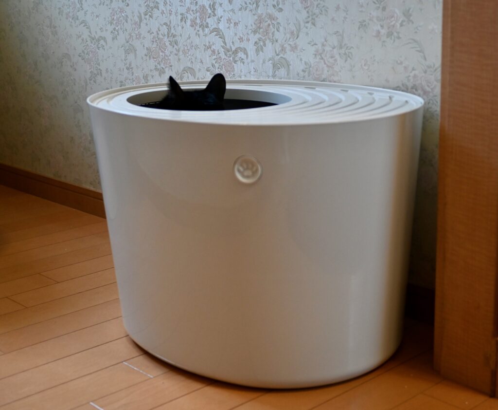 アイリスオーヤマの上から猫トイレを使用中のピノ