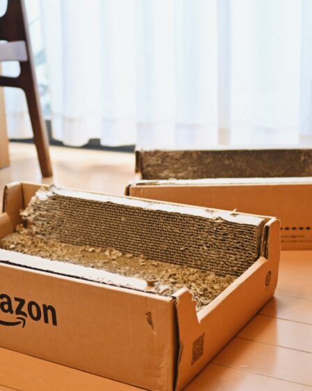 Amazonボックス型の猫用爪とぎが2つ床に並んでいる様子