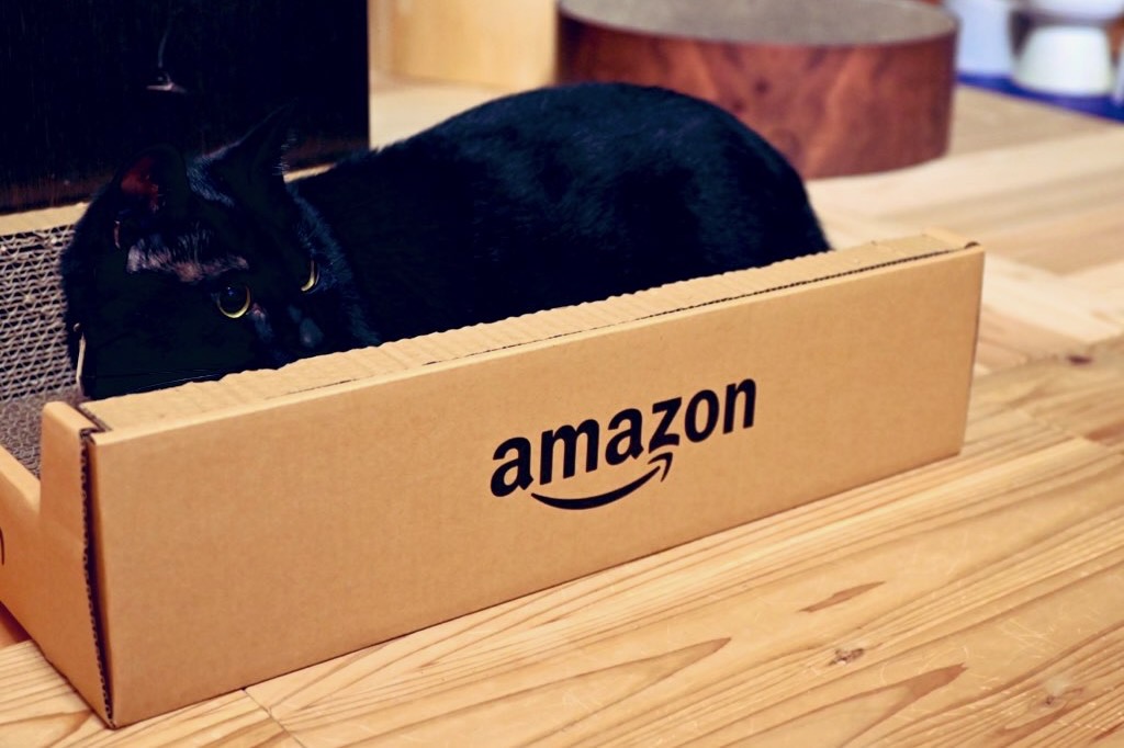 Amazonボックス型の猫用爪とぎを死守するピノ