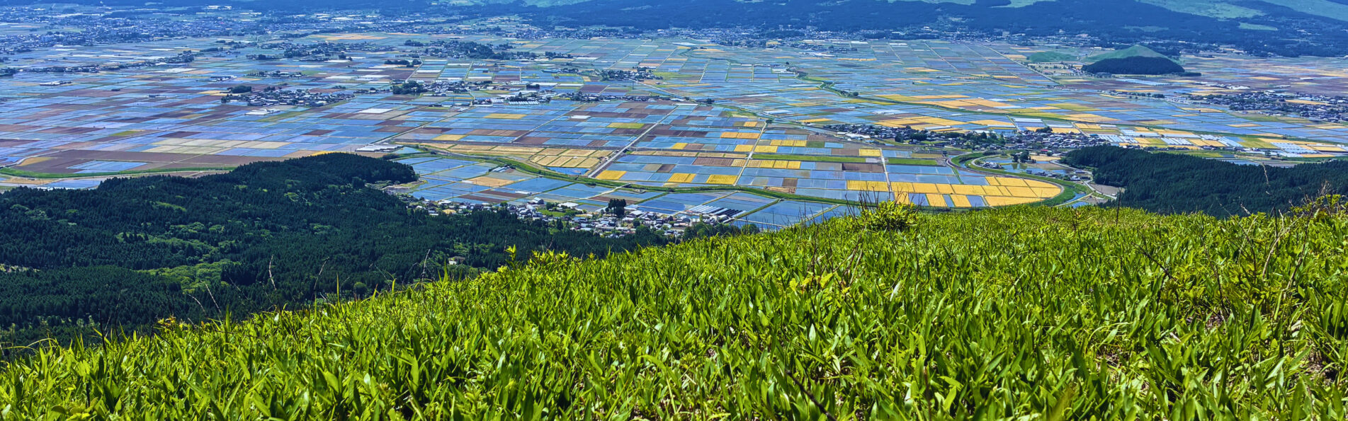 阿蘇の大観峰、野焼きのあと、新芽で綺麗なグリーン