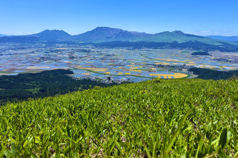 阿蘇の大観峰、野焼きのあと、新芽で綺麗なグリーン