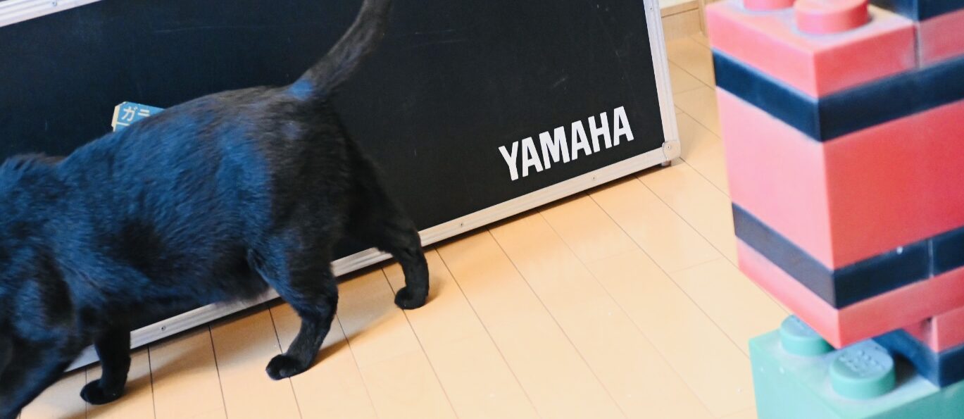 当時の思い出が詰まった重いハードケースを引っ張り出した、そこへ黒猫ピノが