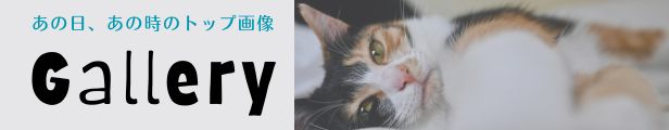 あの日、あの時のトップ画像 Gallery