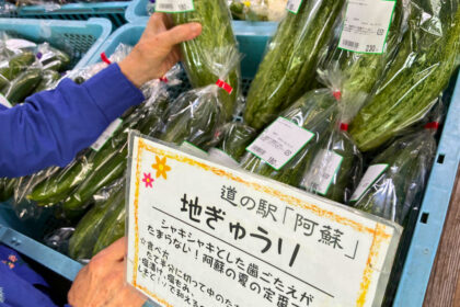 道の駅阿蘇にて、地ぎゅうりを買う