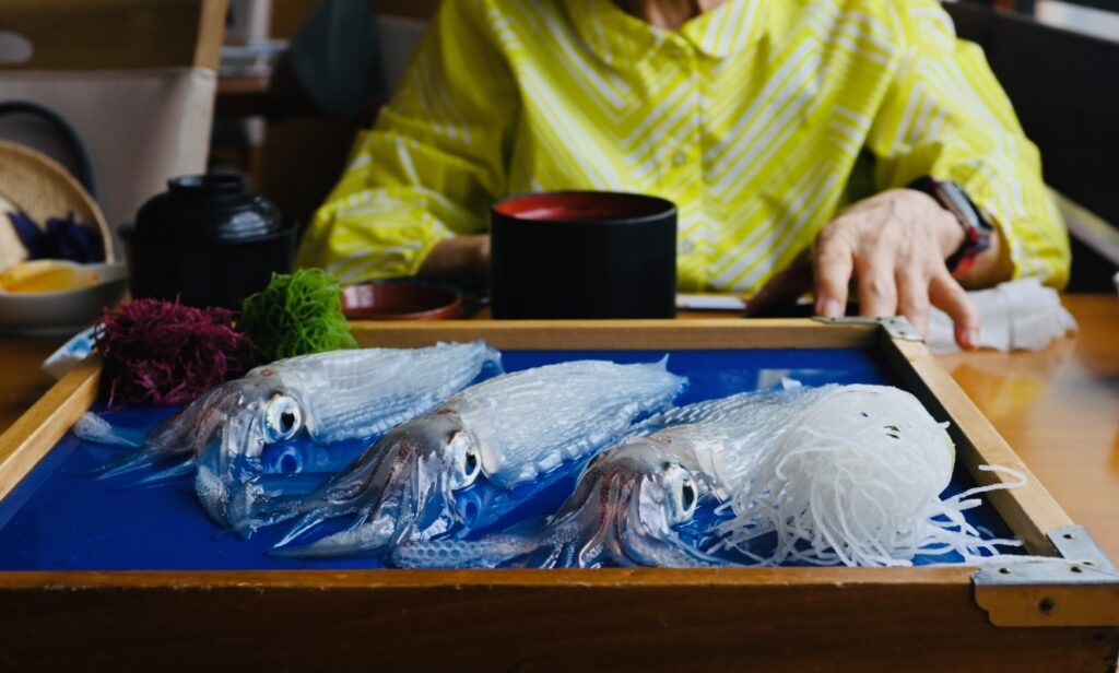 唐津市呼子「お魚処 玄海」にて、イカの活き造り