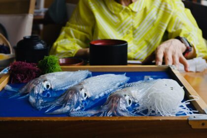 唐津市呼子「お魚処 玄海」にて、イカの活き造り